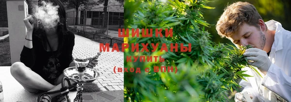 ГАЛЛЮЦИНОГЕННЫЕ ГРИБЫ Балахна
