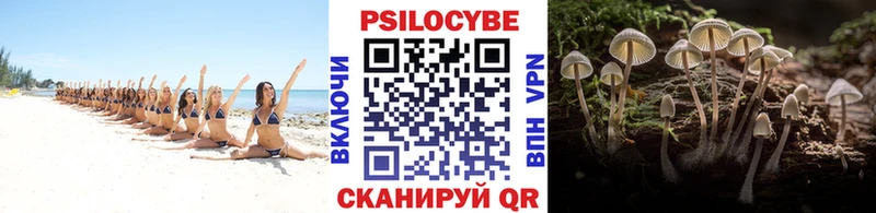 Псилоцибиновые грибы Cubensis  где найти   Калининец 